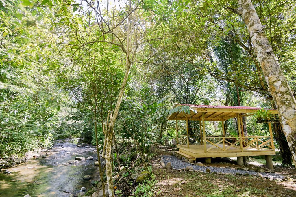 Hotel El Mono Feliz Ojochal Dış mekan fotoğraf