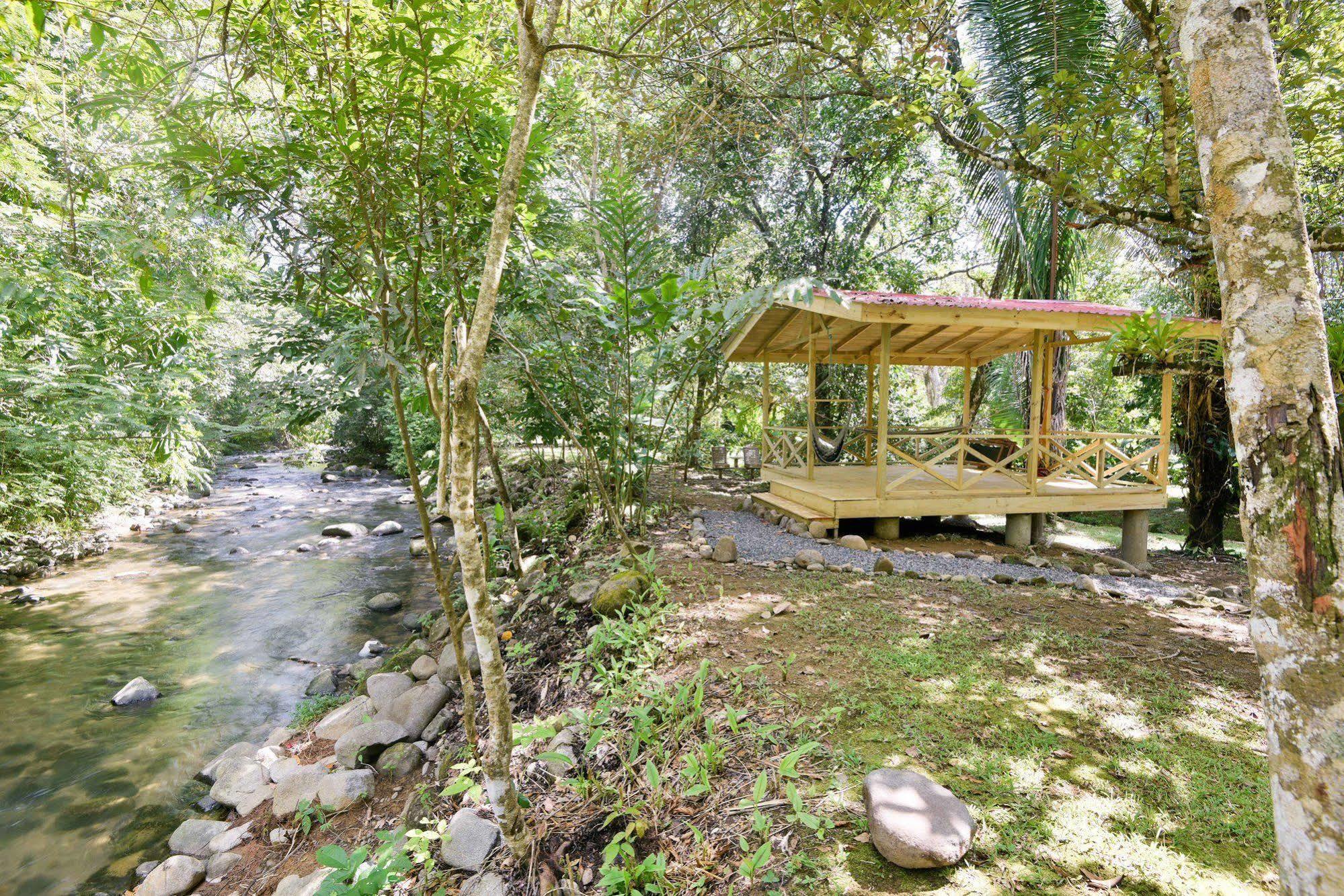 Hotel El Mono Feliz Ojochal Dış mekan fotoğraf