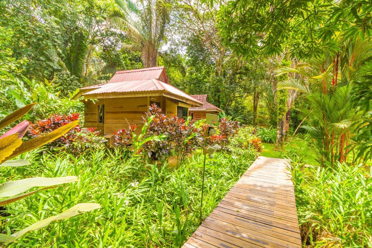 Hotel El Mono Feliz Ojochal Dış mekan fotoğraf